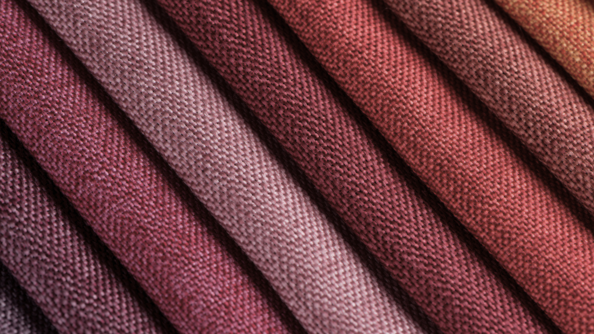 Color Palette