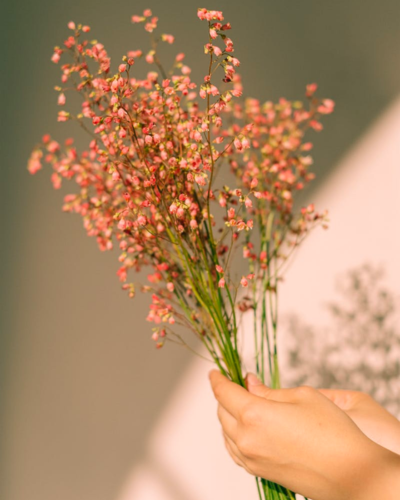 Soft Autumn
