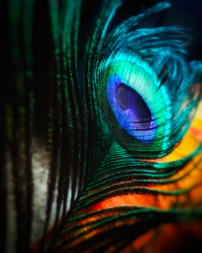 Dark Autumn