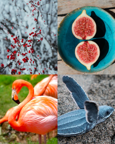 12 Seasonal Color System Pt 1