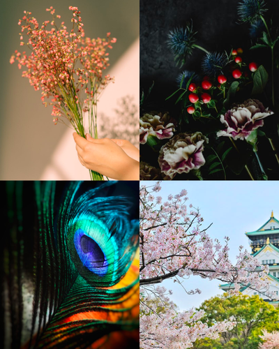 12 Seasonal Color System Pt 2